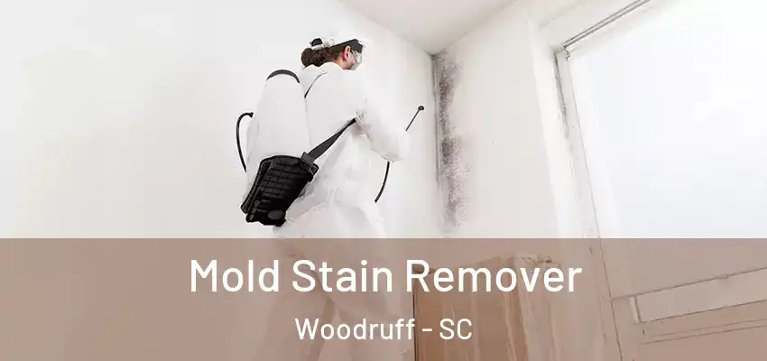  Mold Stain Remover Woodruff - SC