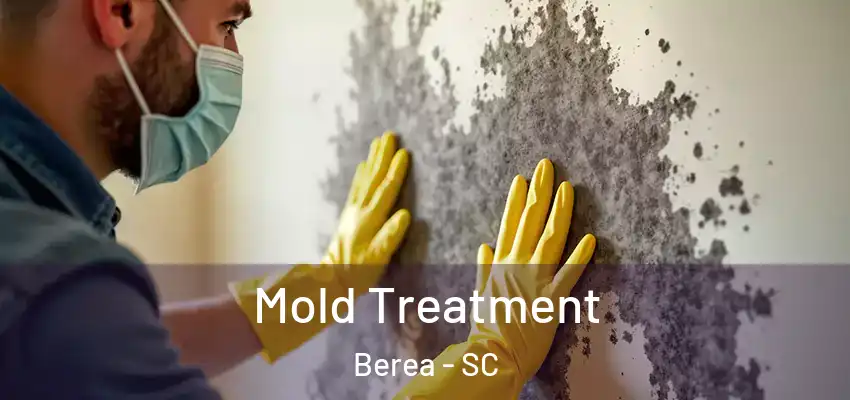  Mold Treatment Berea - SC