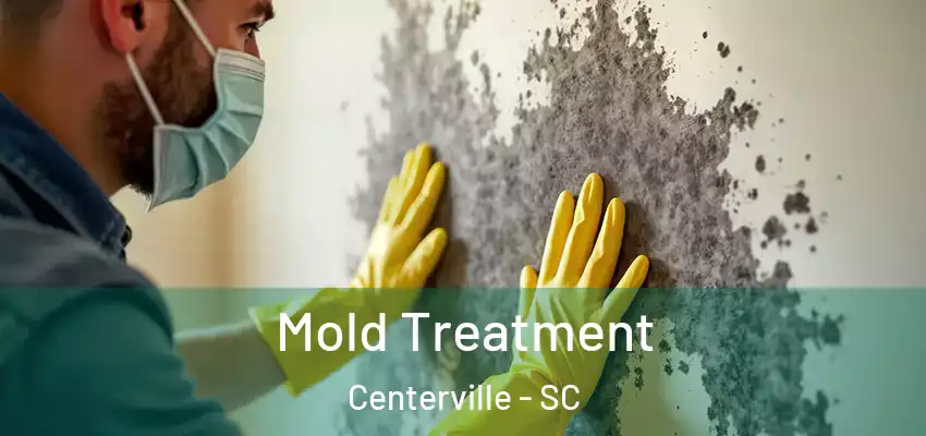 Mold Treatment Centerville - SC