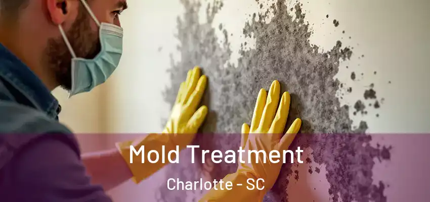 Mold Treatment Charlotte - SC