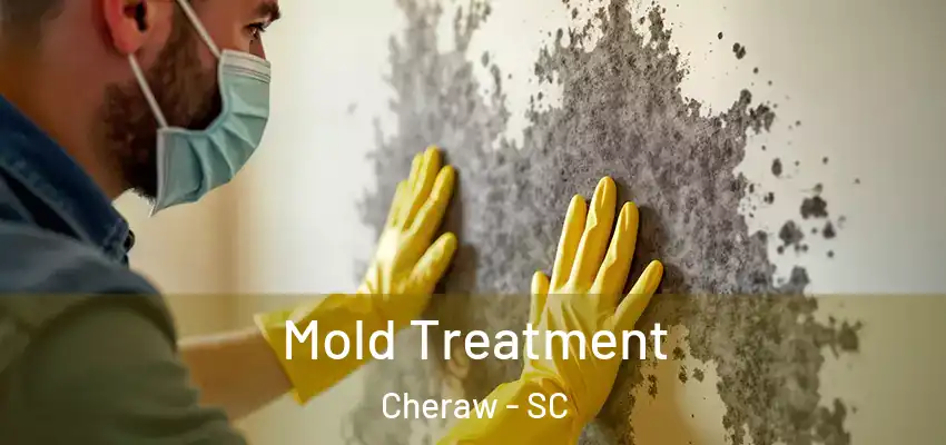 Mold Treatment Cheraw - SC