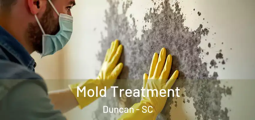 Mold Treatment Duncan - SC