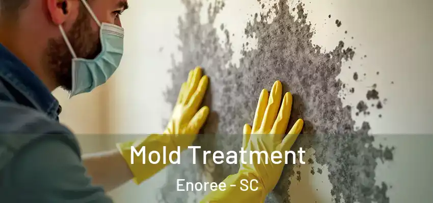  Mold Treatment Enoree - SC