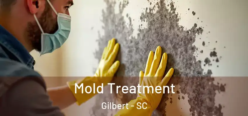Mold Treatment Gilbert - SC