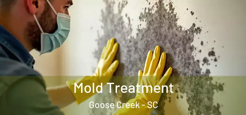  Mold Treatment Goose Creek - SC