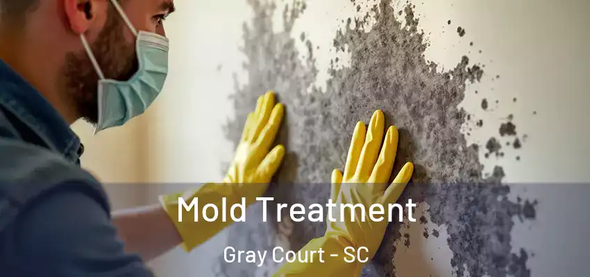  Mold Treatment Gray Court - SC