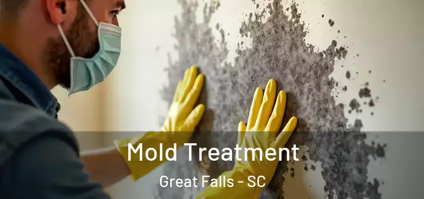 Mold Treatment Great Falls - SC