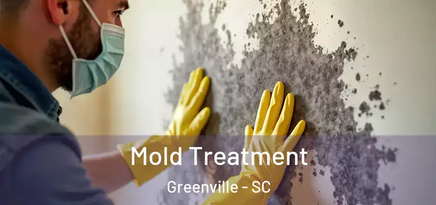  Mold Treatment Greenville - SC