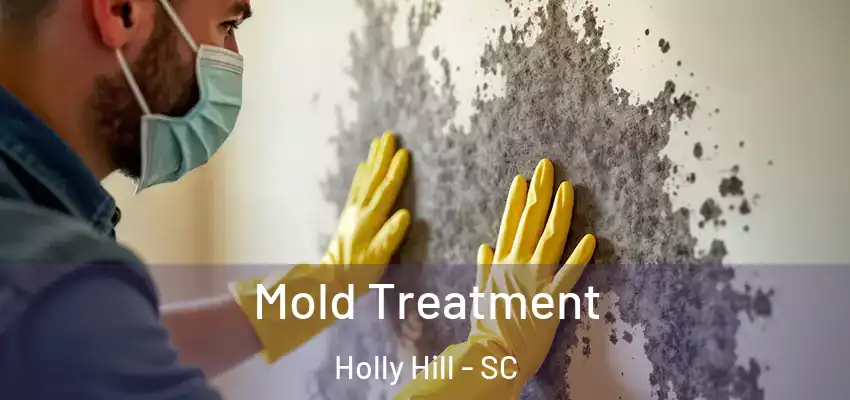  Mold Treatment Holly Hill - SC