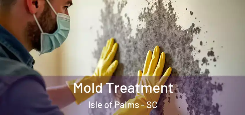  Mold Treatment Isle of Palms - SC