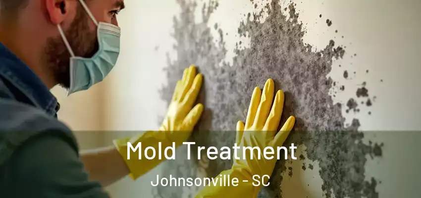  Mold Treatment Johnsonville - SC