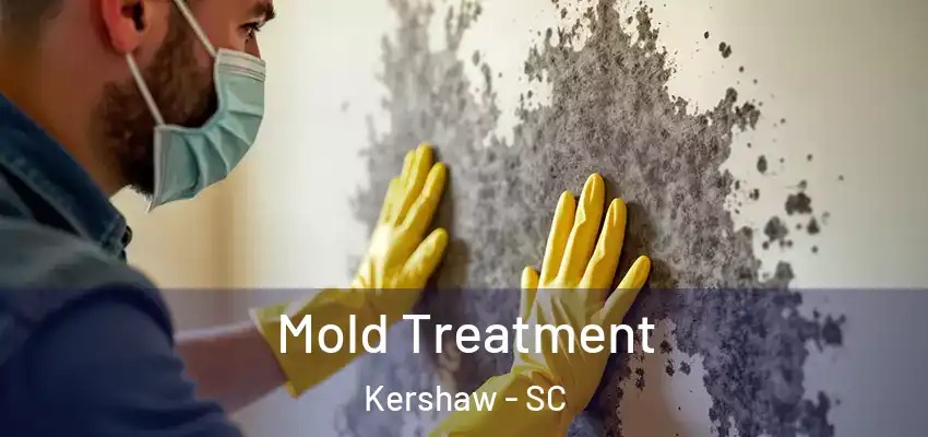  Mold Treatment Kershaw - SC