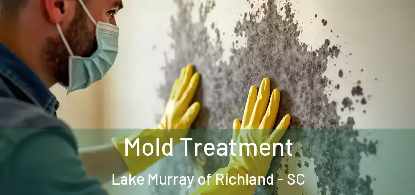 Mold Treatment Lake Murray of Richland - SC