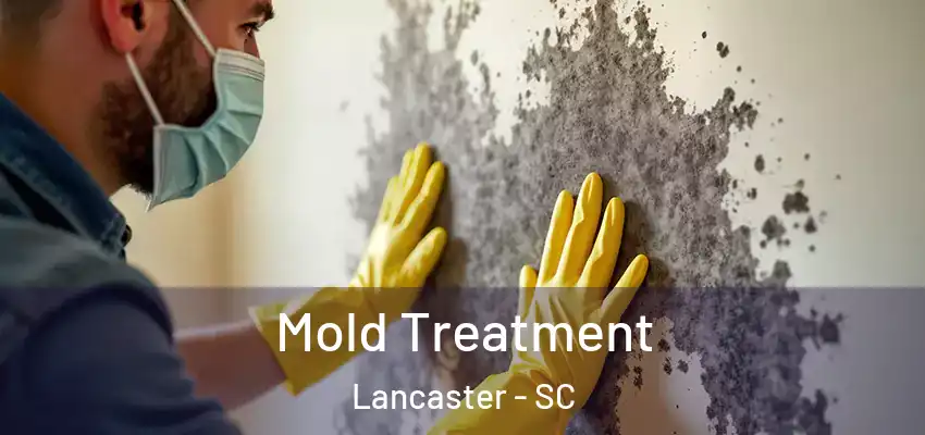  Mold Treatment Lancaster - SC