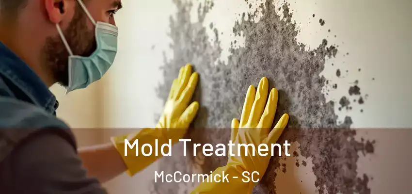  Mold Treatment McCormick - SC