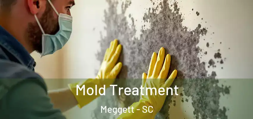  Mold Treatment Meggett - SC
