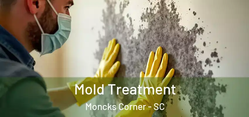  Mold Treatment Moncks Corner - SC