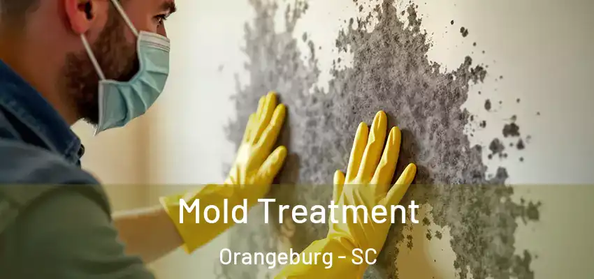  Mold Treatment Orangeburg - SC