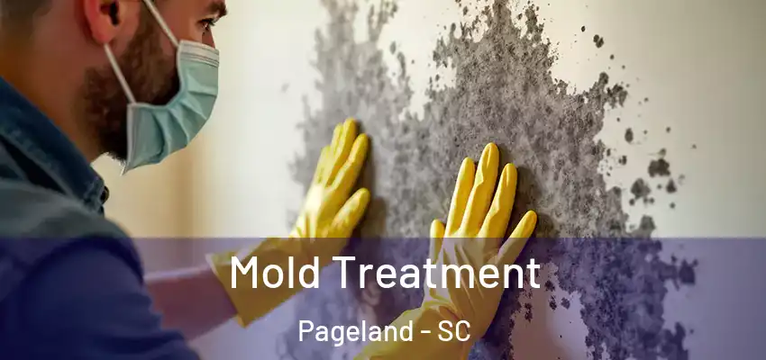  Mold Treatment Pageland - SC