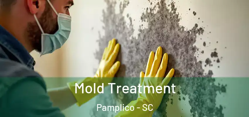  Mold Treatment Pamplico - SC