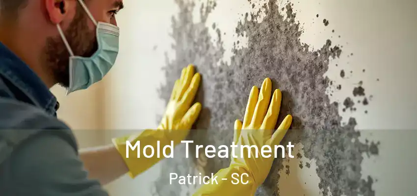  Mold Treatment Patrick - SC