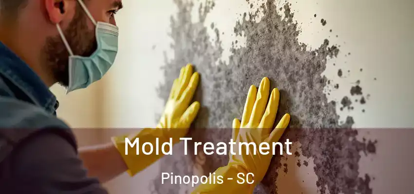  Mold Treatment Pinopolis - SC