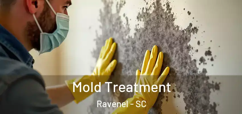 Mold Treatment Ravenel - SC