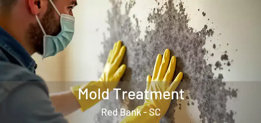 Mold Treatment Red Bank - SC