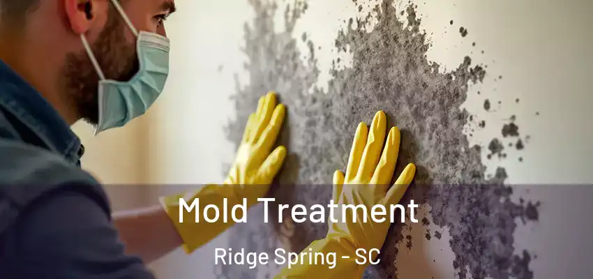 Mold Treatment Ridge Spring - SC