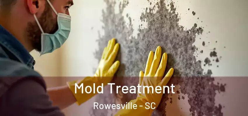 Mold Treatment Rowesville - SC