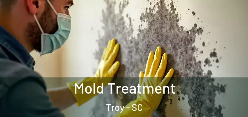 Mold Treatment Troy - SC