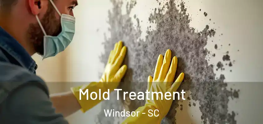Mold Treatment Windsor - SC