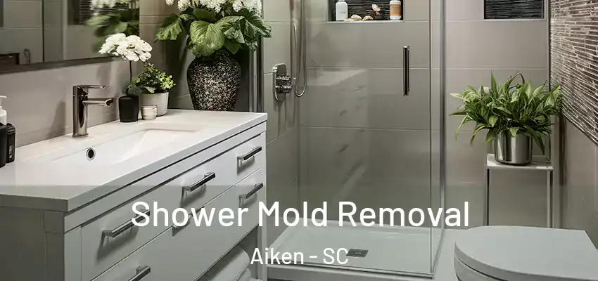  Shower Mold Removal Aiken - SC