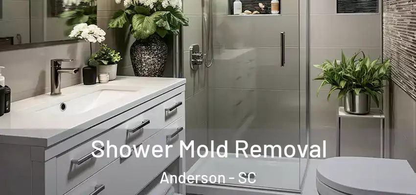  Shower Mold Removal Anderson - SC