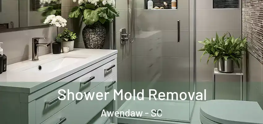  Shower Mold Removal Awendaw - SC