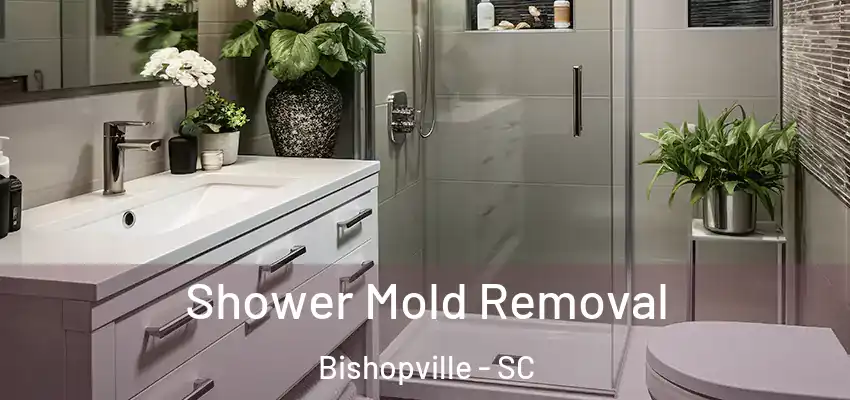 Shower Mold Removal Bishopville - SC