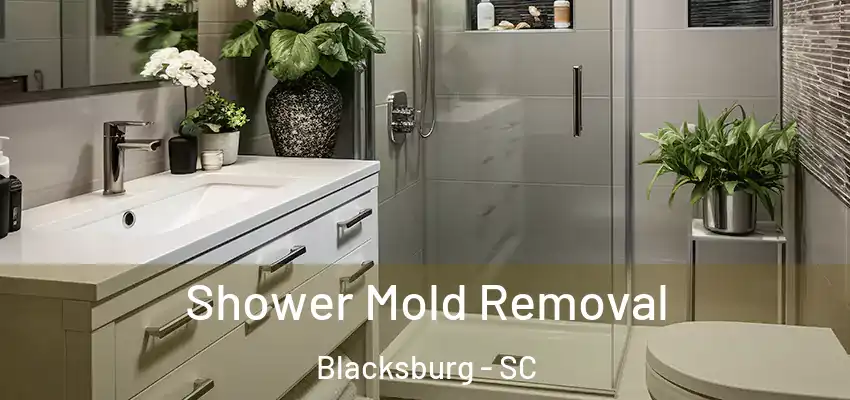  Shower Mold Removal Blacksburg - SC