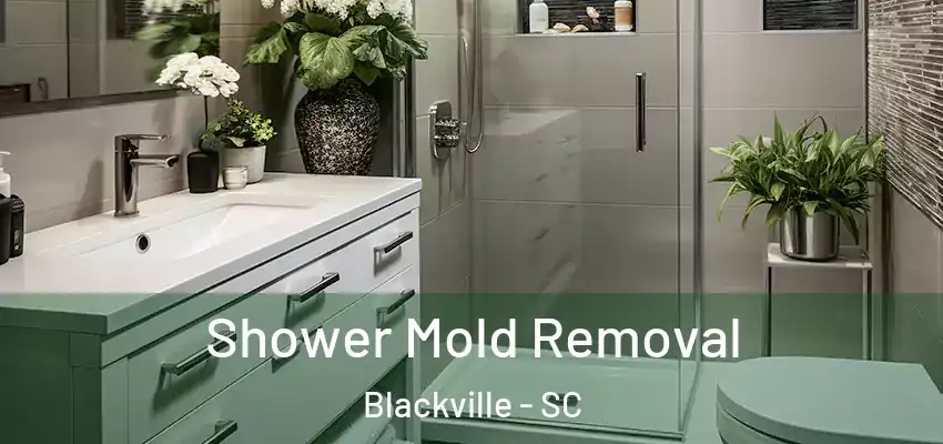 Shower Mold Removal Blackville - SC