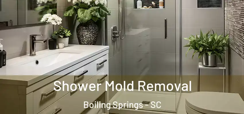 Shower Mold Removal Boiling Springs - SC