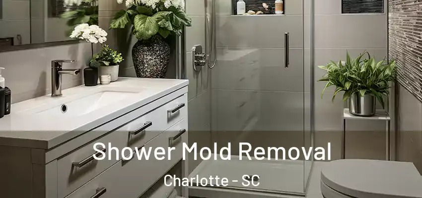  Shower Mold Removal Charlotte - SC