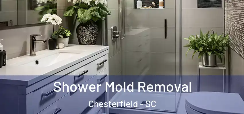  Shower Mold Removal Chesterfield - SC
