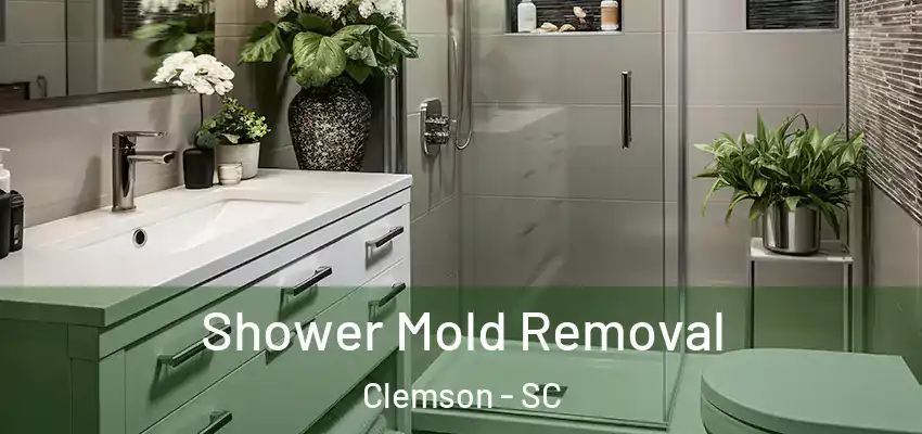  Shower Mold Removal Clemson - SC
