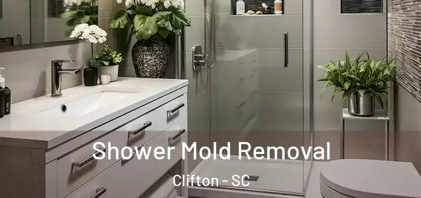  Shower Mold Removal Clifton - SC