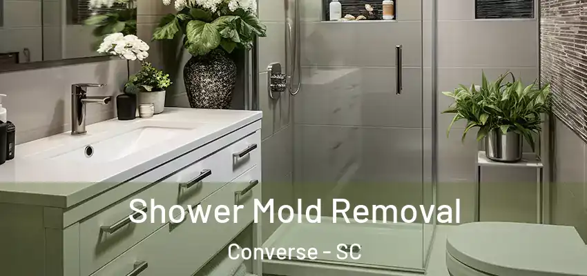 Shower Mold Removal Converse - SC