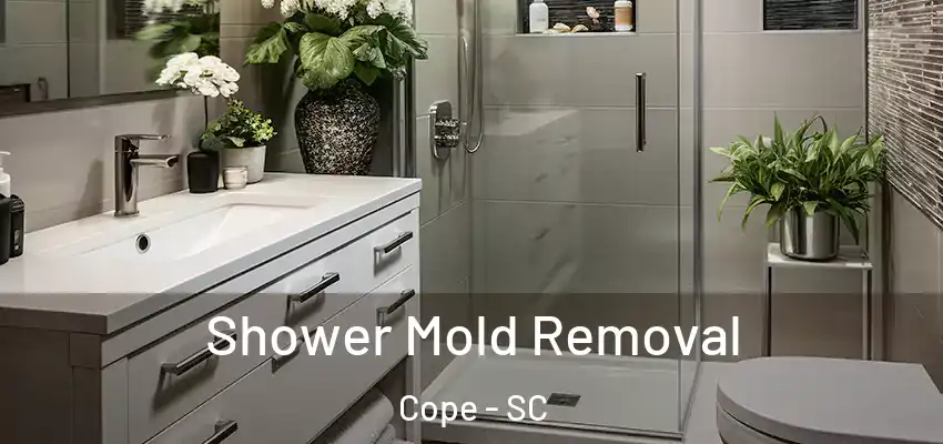 Shower Mold Removal Cope - SC