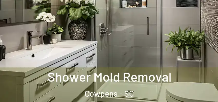 Shower Mold Removal Cowpens - SC