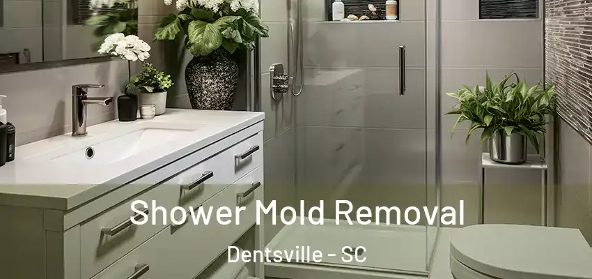 Shower Mold Removal Dentsville - SC