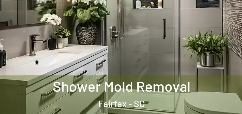  Shower Mold Removal Fairfax - SC