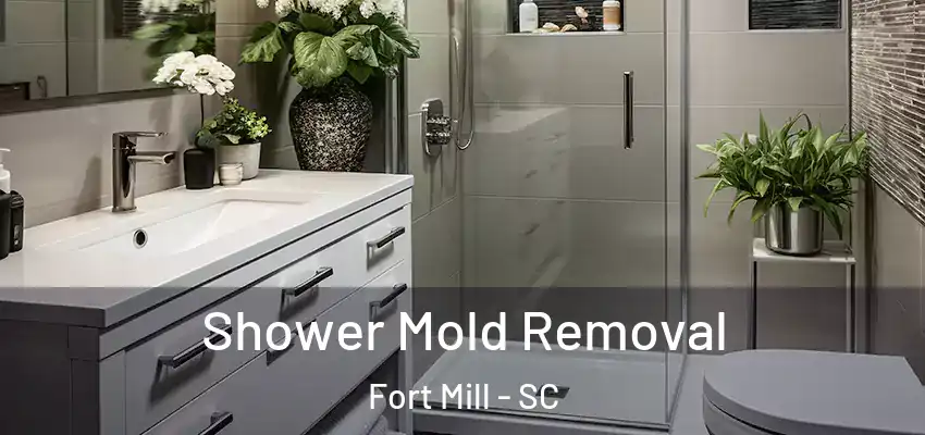  Shower Mold Removal Fort Mill - SC