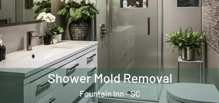 Shower Mold Removal Fountain Inn - SC